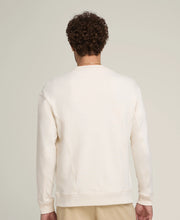 Wilson Men's Parkside Crewneck Full Sleeve Casual Pullover Sweatshirt