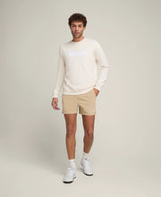 Wilson Men's Parkside Crewneck Full Sleeve Casual Pullover Sweatshirt